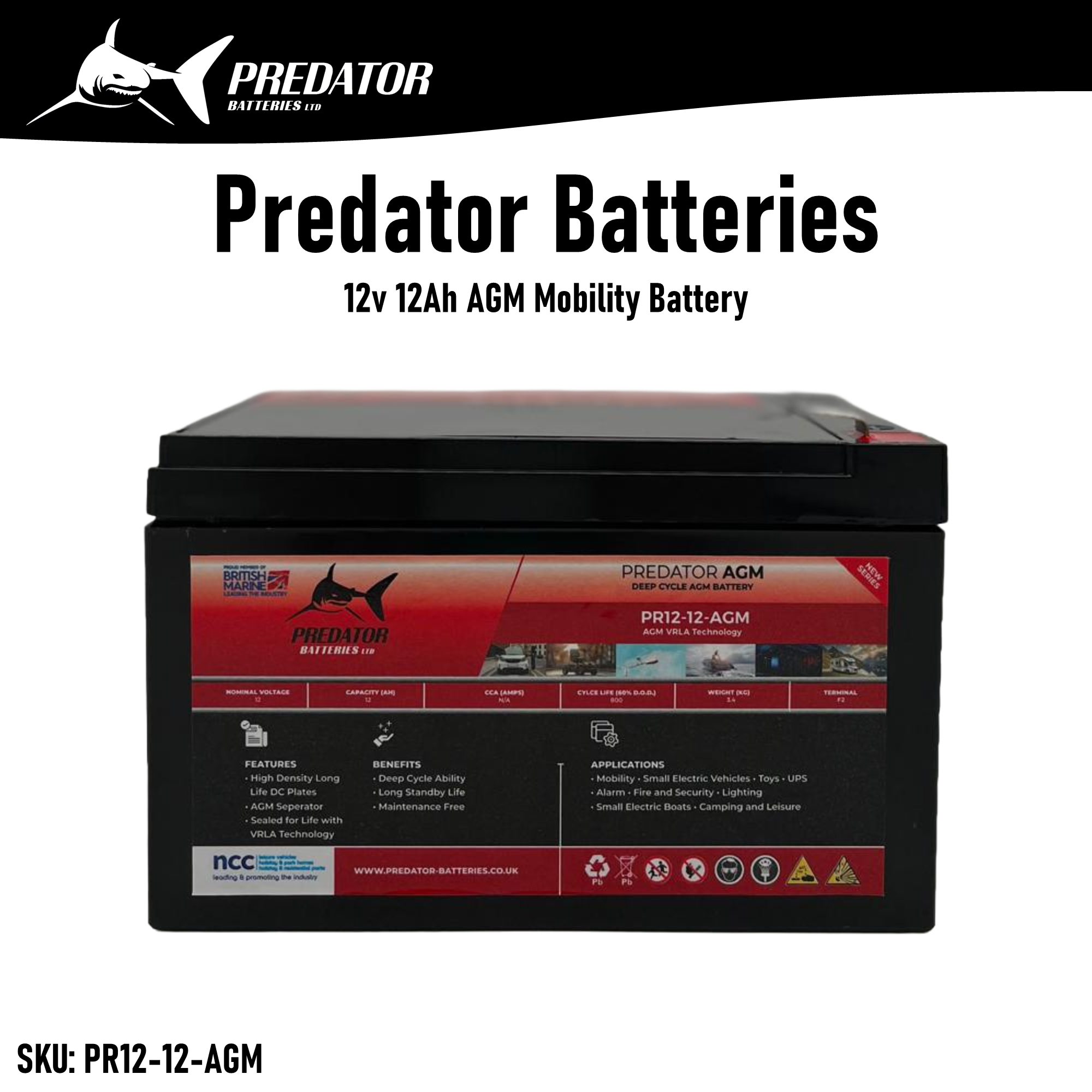 12v 12Ah AGM Battery