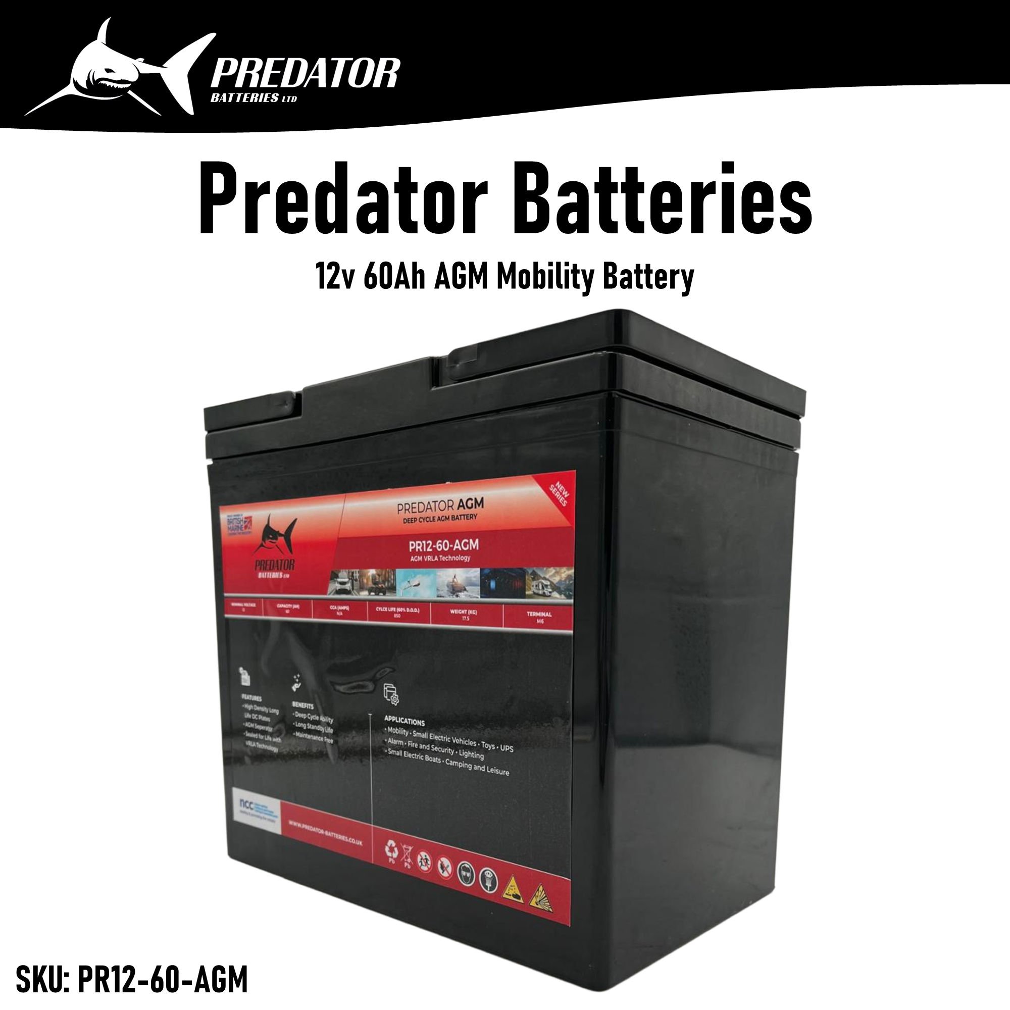 12v 60Ah AGM Battery